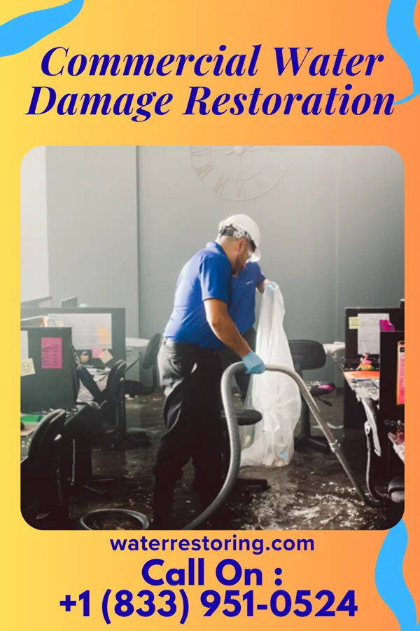 Commercial Water Damage Restoration in El Refugio, TX