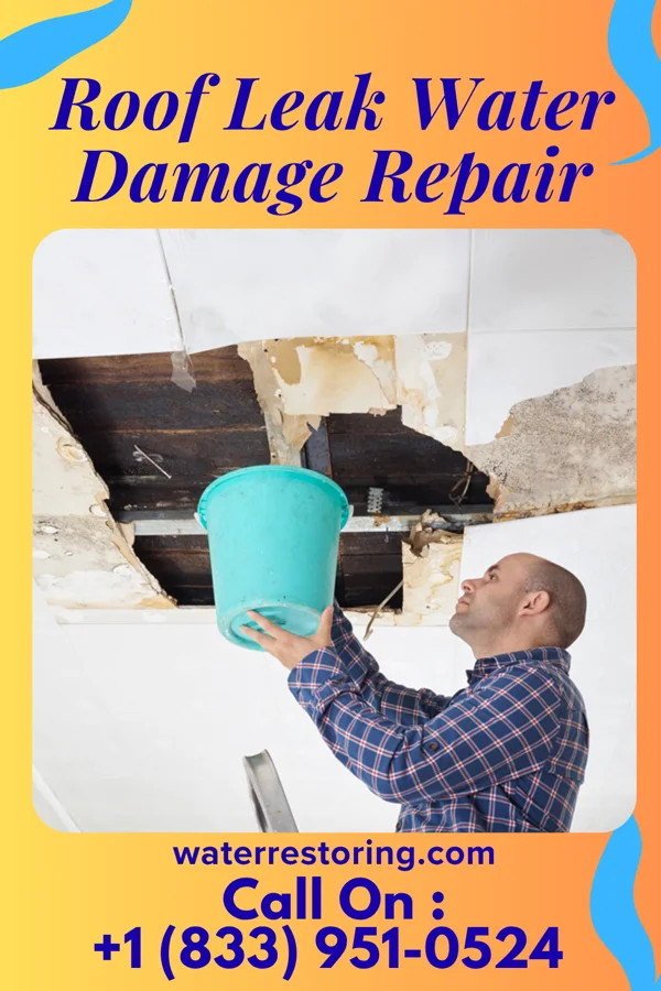 Roof Leak Water Damage Repair in El Refugio, TX
