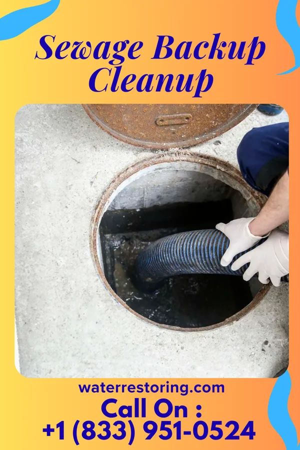 Sewage Backup Cleanup in El Refugio, TX